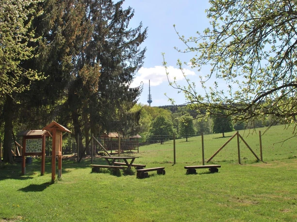 Wildgehege Willebadessen Ein weitläufiges Wildgehege mit Holzbänken, Informationstafeln, grünem Gras und Bäumen im Vordergrund.