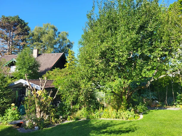 Garten