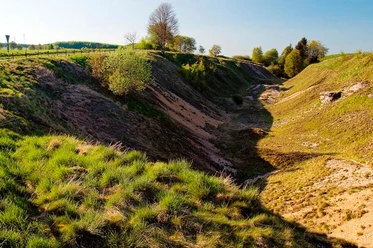 Erlesene Natur: Die Bleikuhlen bei Blankenrode Naturschutzgebiet mit grasbewachsenen Hügeln und einer von Bäumen gesäumten, sanft abfallenden Senke.