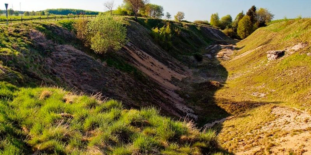 Erlesene Natur: Die Bleikuhlen bei Blankenrode Naturschutzgebiet mit grasbewachsenen Hügeln und einer von Bäumen gesäumten, sanft abfallenden Senke.