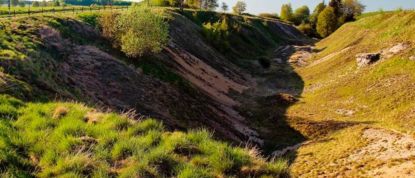 Erlesene Natur: Die Bleikuhlen bei Blankenrode Naturschutzgebiet mit grasbewachsenen Hügeln und einer von Bäumen gesäumten, sanft abfallenden Senke.