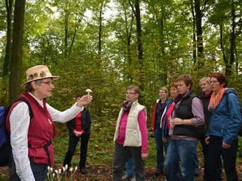 Stemweder Kräuterfrau und Pilzcoach Eine Frau präsentiert in einem Wald einer Gruppe von Menschen einen Pilz, umgeben von Bäumen.