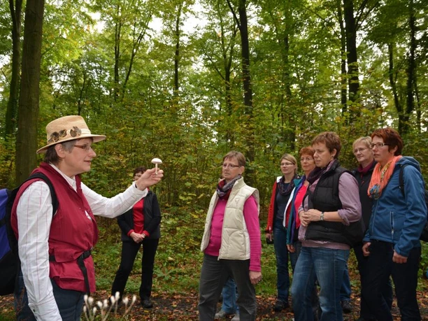 Stemweder Kräuterfrau und Pilzcoach Eine Frau präsentiert in einem Wald einer Gruppe von Menschen einen Pilz, umgeben von Bäumen.