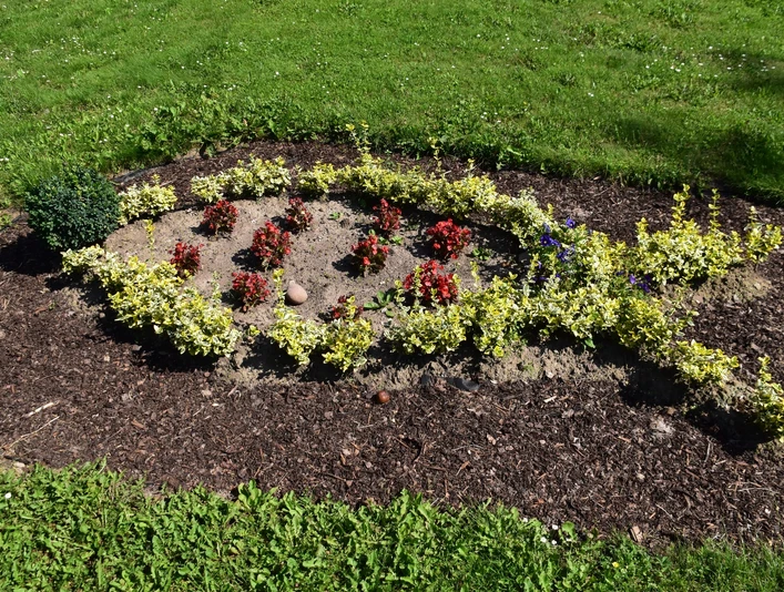 Pflanzbeet in Form eines Fisches im Lebensgarten Amelunxen