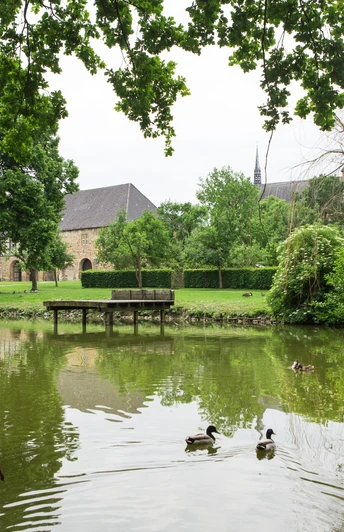 Teich im Garten der Klosteranlage Herzebrock Ruhiger Teich mit Enten im Vordergrund, alte Kirche und gepflegte Gärten im Hintergrund.