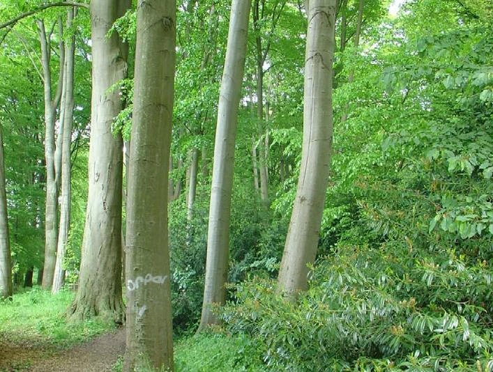 Eindrücke aus der Oeynhausener Schweiz