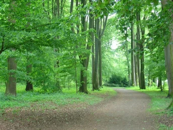Eindrücke aus der Oeynhausener Schweiz