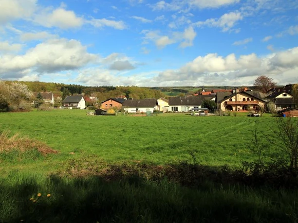 Blick vom Doktorborn nach Blankenau Grüne Wiese mit mehreren Häusern am Horizont, umgeben von Bäumen unter bewölktem Himmel.