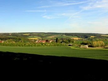 Blick vom Bierenberg über Blankenau zum Solling Weitläufige Landschaft mit grünen Feldern und Wald, sanfte Hügel erstrecken sich zum Horizont.