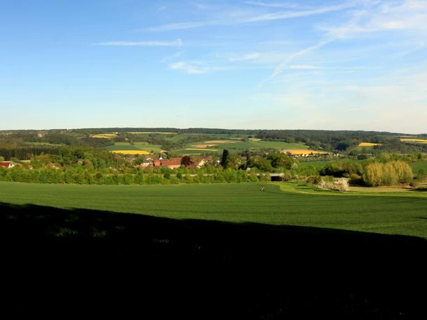 Blick vom Bierenberg über Blankenau zum Solling Weitläufige Landschaft mit grünen Feldern und Wald, sanfte Hügel erstrecken sich zum Horizont.