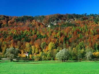 Buchenwälder in satten Herbstfarben erstrecken sich entlang der Weserhänge, unter strahlend blauem Himmel.