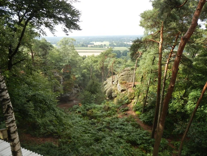 Aussichtsplattform an den Dörenther Klippen mit weitem Blick über bewaldete Landschaft und Felsen.