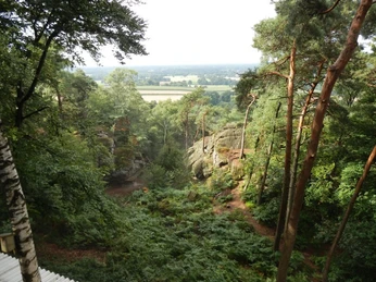 Blick von der Aussichtsplattform an den Dörenther Klippen Aussichtsplattform an den Dörenther Klippen mit weitem Blick über bewaldete Landschaft und Felsen.