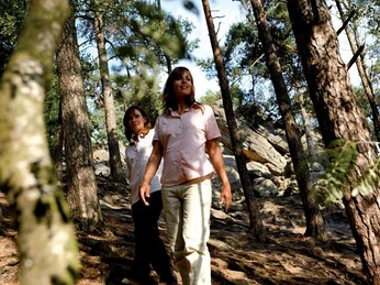 An den Dörenther Klippen Zwei Frauen spazieren durch einen bewaldeten Pfad zwischen hohen Bäumen und Felsen bei Tageslicht.