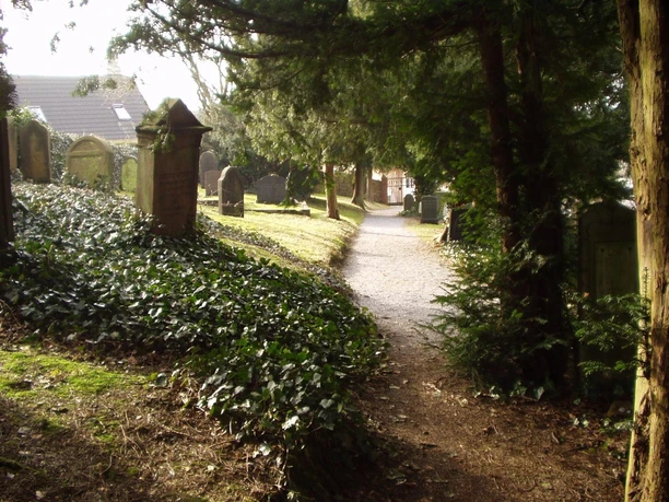 Jüdischer Friedhof Eine gepflasterte Allee führt durch den von Bäumen gesäumten Jüdischen Friedhof zu verschiedenen Grabsteinen.
