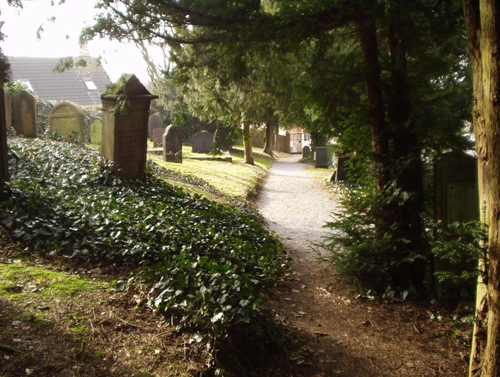 Jüdischer Friedhof Eine gepflasterte Allee führt durch den von Bäumen gesäumten Jüdischen Friedhof zu verschiedenen Grabsteinen.