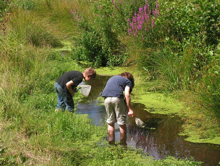 Zwei Jungen knien mit Keschern in einem kleinen, von grüner Vegetation umgebenen Bach.