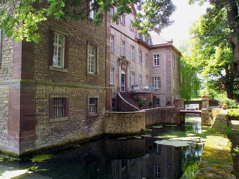 Schloss Welda Altes Schloss mit Sandsteinfassade, umgeben von Wassergraben und Bäumen, reflektierend im Wasser.