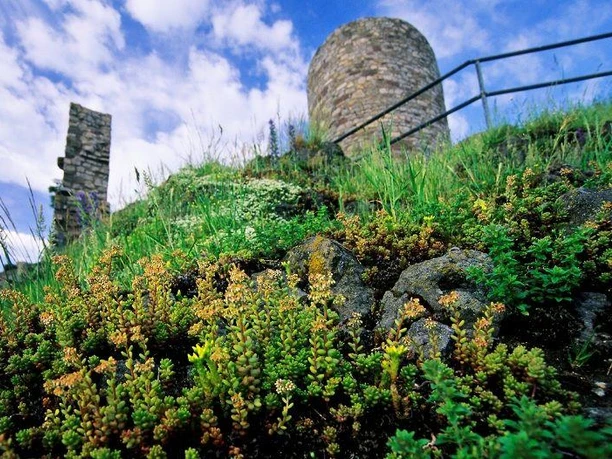 Grüne Vegetation und Ruinen eines alten Turmes vor einem blauen, leicht bewölkten Himmel.