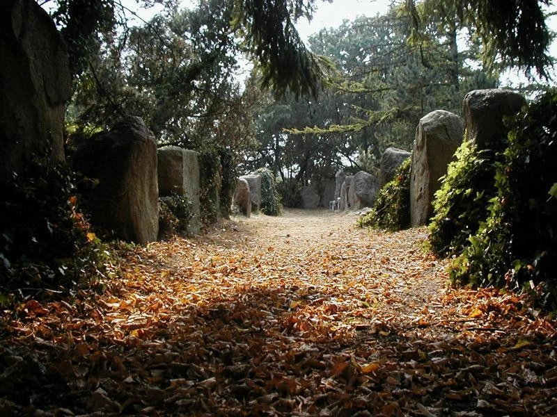 Megalithgrab Lengerich Steinweg führt durch herbstlich gefallene Blätter zum Megalithgrab, flankiert von hohen Steinen.