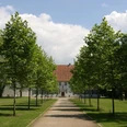 Kloster Bentlage in Rheine Kloster Bentlage in Rheine mit symmetrisch angelegter Allee aus jungen Bäumen vor dem Hauptgebäude.