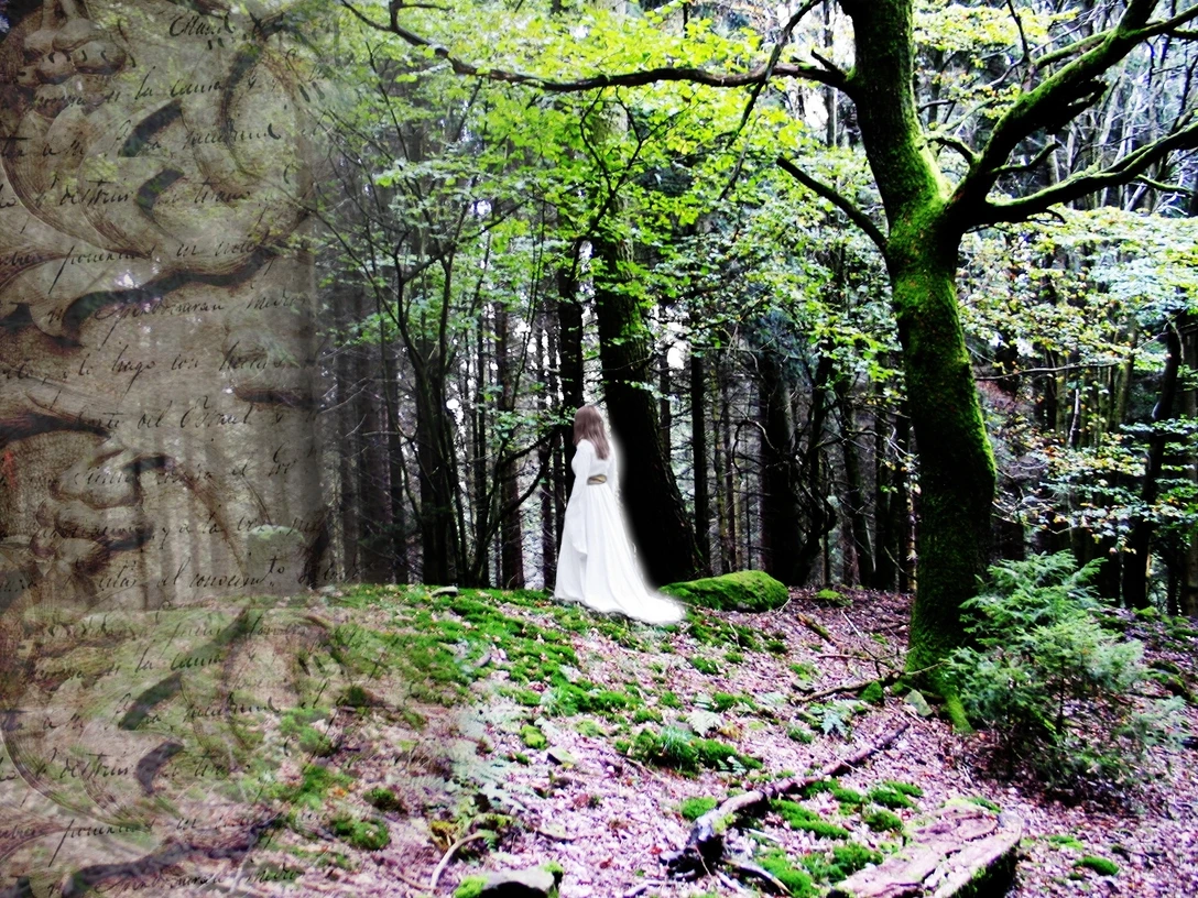 Eine weiße Figur steht geheimnisvoll im moosbedeckten Wald, umgeben von schattigen Bäumen.