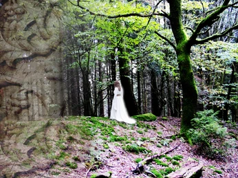 Eine weiße Figur steht geheimnisvoll im moosbedeckten Wald, umgeben von schattigen Bäumen.