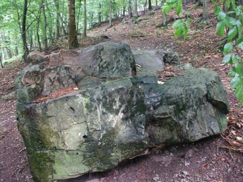Großer Felsblock, teilweise mit Moos bewachsen, im Hintergrund dichter Mischwald sichtbar.