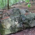 Walburg Überreste Großer Felsblock, teilweise mit Moos bewachsen, im Hintergrund dichter Mischwald sichtbar.