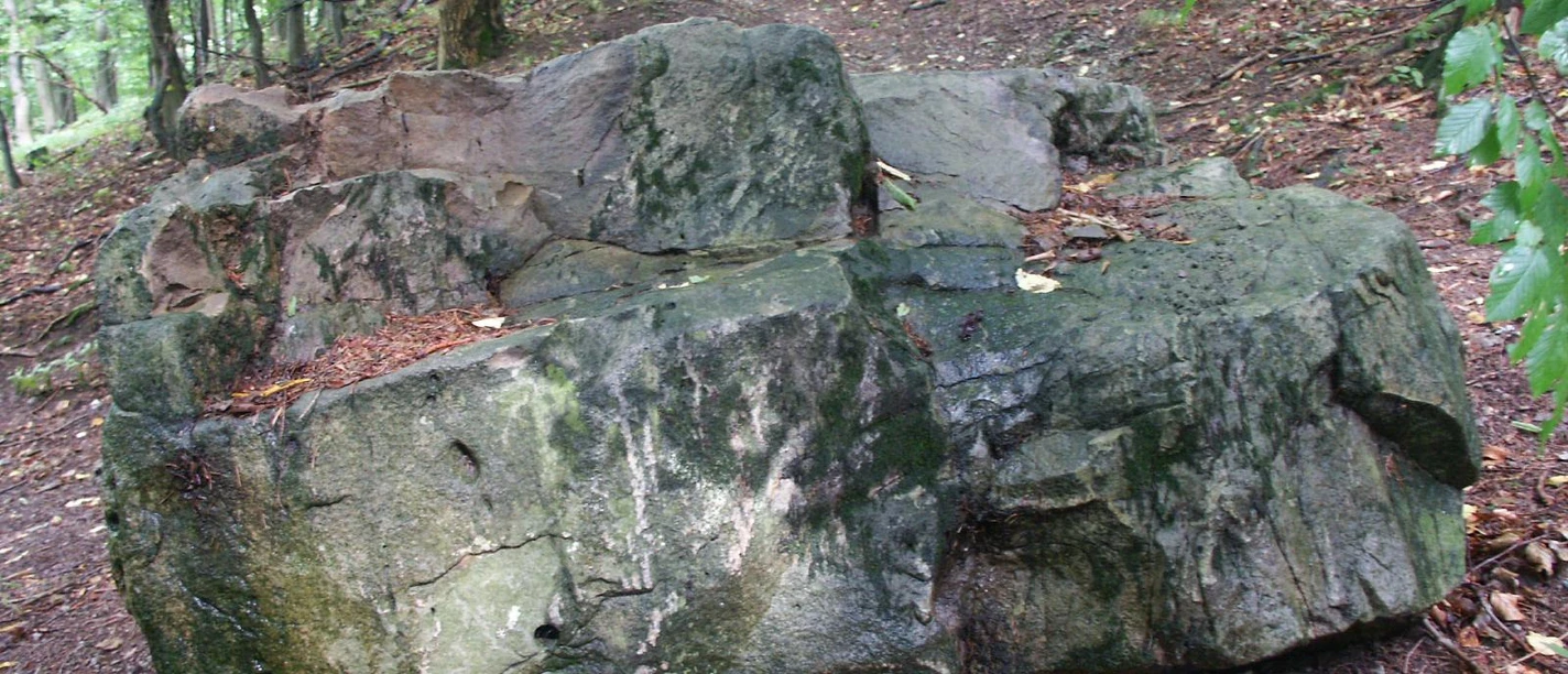 Walburg Überreste Großer Felsblock, teilweise mit Moos bewachsen, im Hintergrund dichter Mischwald sichtbar.