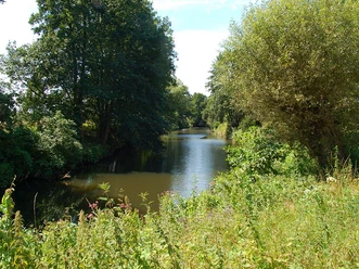 NSG Elseaue Naturbelassene Flusslandschaft mit dichtem Baumbestand am Ufer unter klarem Himmel in der Elseaue.