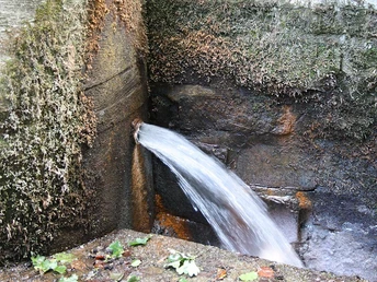 Wasserstrahl fließt aus einer Wandöffnung in einem alten Steingewölbe, umgeben von Moos und Pflanzen.