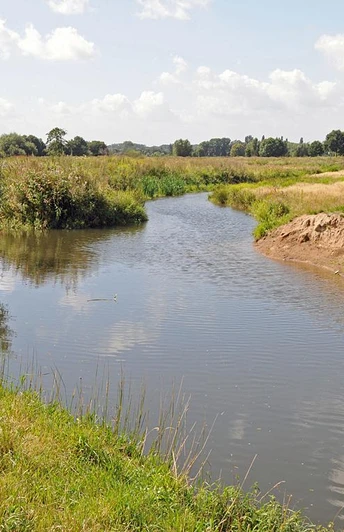 Sanft geschwungener Flusslauf mit dichtem Grün, darüber blauer Himmel mit weißen Wolken.