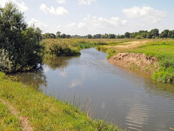 Sanft geschwungener Flusslauf mit dichtem Grün, darüber blauer Himmel mit weißen Wolken.