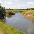 Steilufer Sanft geschwungener Flusslauf mit dichtem Grün, darüber blauer Himmel mit weißen Wolken.