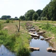 Steiniger Fischpass führt sanft durch grünes Ufergebiet mit Büschen und Bäumen im Hintergrund.