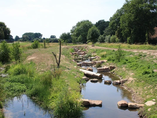 Fischpass Steiniger Fischpass führt sanft durch grünes Ufergebiet mit Büschen und Bäumen im Hintergrund.