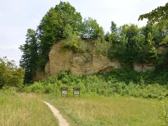 Waldige Felswand im Naturschutzgebiet Doberg, umgeben von dichter Vegetation und Wiesenpfad.