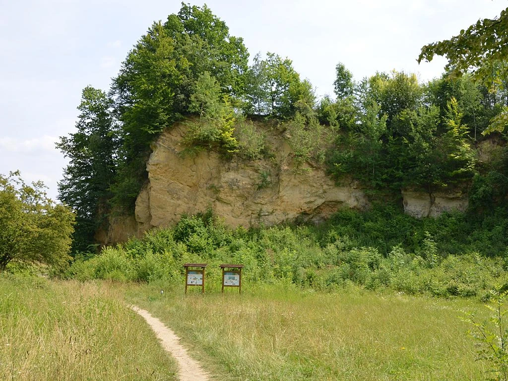 Waldige Felswand im Naturschutzgebiet Doberg, umgeben von dichter Vegetation und Wiesenpfad.
