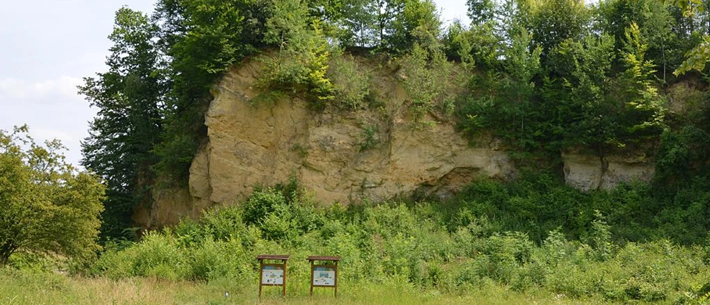 NSG Doberg Waldige Felswand im Naturschutzgebiet Doberg, umgeben von dichter Vegetation und Wiesenpfad.