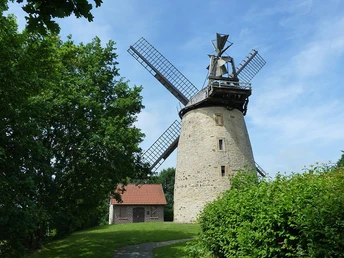 Historische Liesbergmühle mit markanten Flügeln, umgeben von üppigem Grün und einem Nebengebäude.