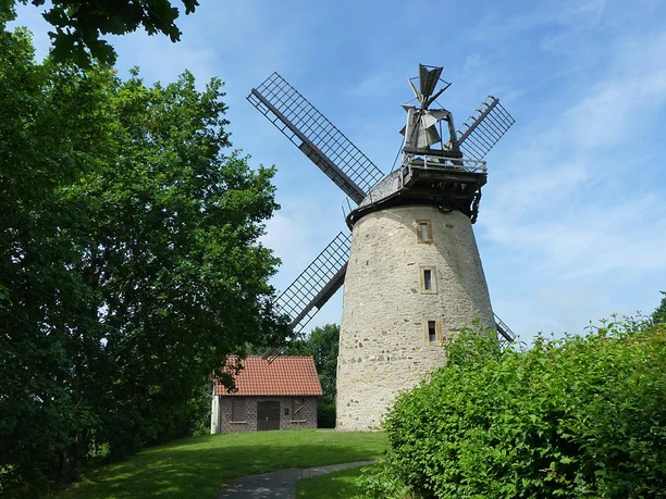 Liesbergmühle Historische Liesbergmühle mit markanten Flügeln, umgeben von üppigem Grün und einem Nebengebäude.