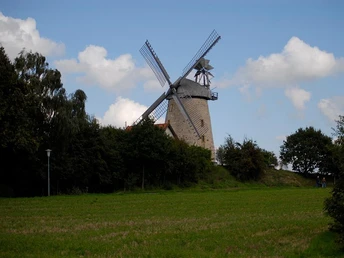 Liesbergmühle Historische Windmühle mit steinernem Sockel, umgeben von grünen Bäumen und Wiesenlandschaft.