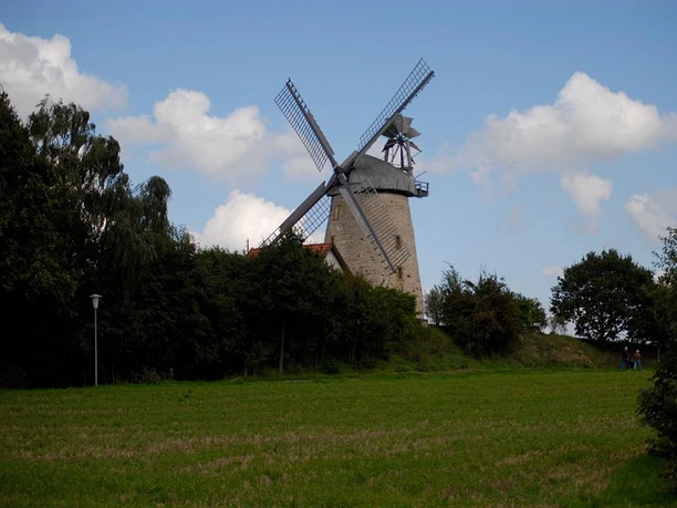 Liesbergmühle Historische Windmühle mit steinernem Sockel, umgeben von grünen Bäumen und Wiesenlandschaft.