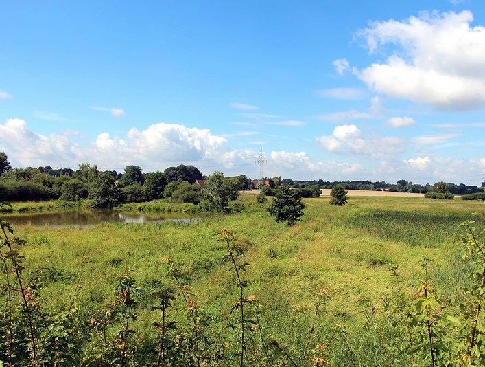 Naturschutzgebiet Enger Bruch mit grüner Wiese, Teich, Bäumen und weitem Himmel unter Wolken.