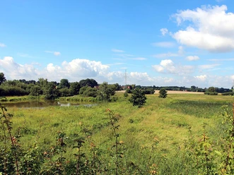 NSG Enger Bruch Naturschutzgebiet Enger Bruch mit grüner Wiese, Teich, Bäumen und weitem Himmel unter Wolken.