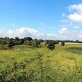 NSG Enger Bruch Naturschutzgebiet Enger Bruch mit grüner Wiese, Teich, Bäumen und weitem Himmel unter Wolken.