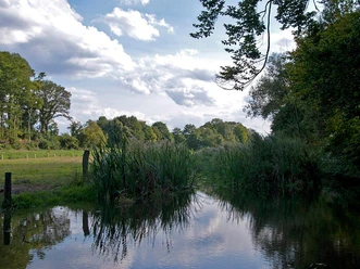 Renaturierter Bachlauf mit Schilf, umgeben von Wiesen und Bäumen, spiegelt den blauen Himmel wider.