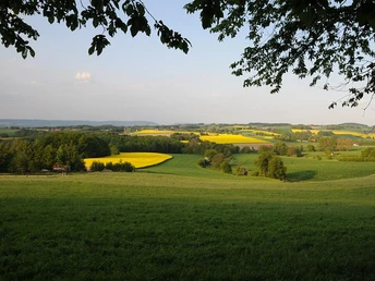 Sanfte Hügel mit leuchtend gelben Rapsfeldern, umgeben von grünen Wiesen und bewaldeten Flächen.