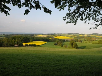 Eggeberg - Blick vom Berg Sanfte Hügel mit leuchtend gelben Rapsfeldern, umgeben von grünen Wiesen und bewaldeten Flächen.